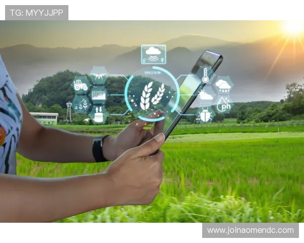 专业分析赛马会备用网址的发展趋势与未来潜在的技术革新 专业分析赛马会备用网址的发展趋势与未来潜在的技术革新